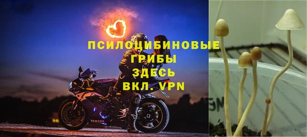 амфетамин Касимов